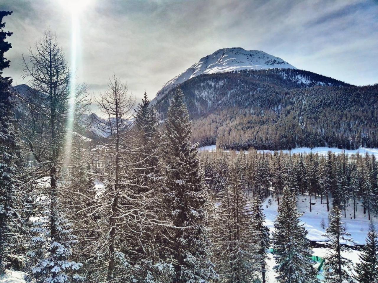 Schloss Hotel & Spa Pontresina Dış mekan fotoğraf